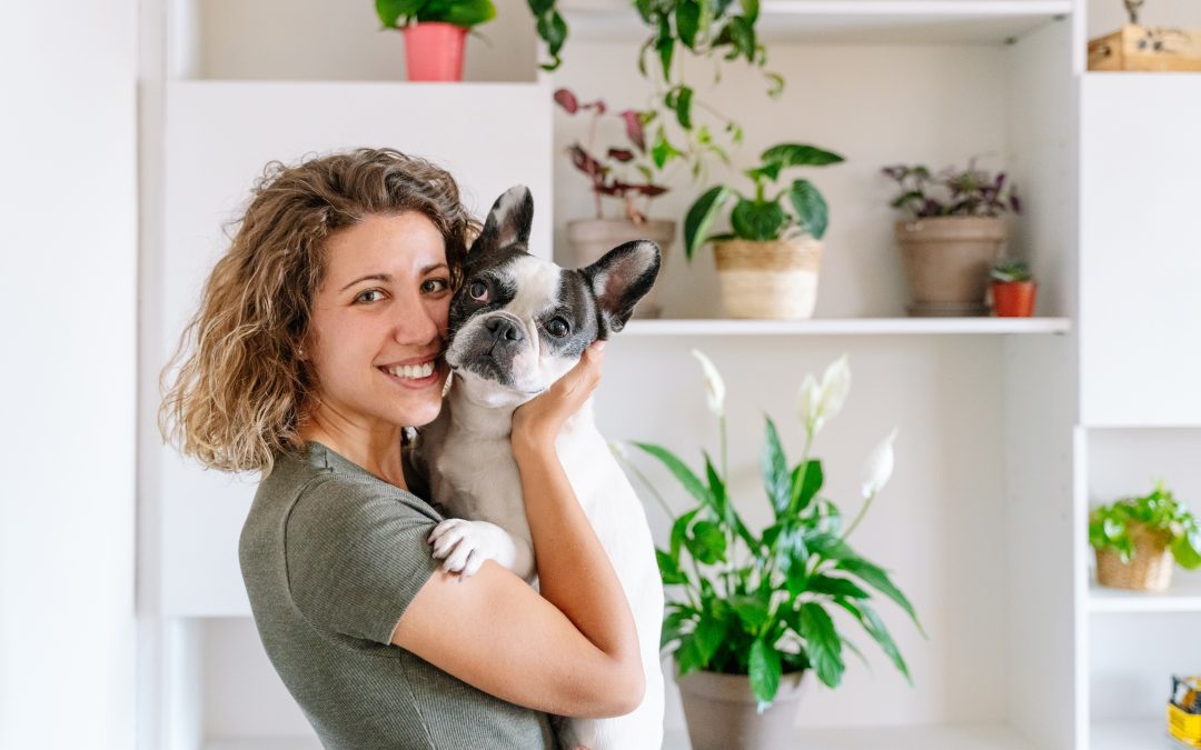 Can My Pet Give Me Diseases?